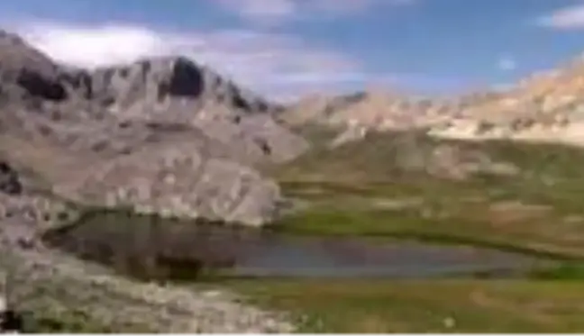 Tunceli'de göçerlerin doğaya saldığı atlar yaylalara renk katıyor