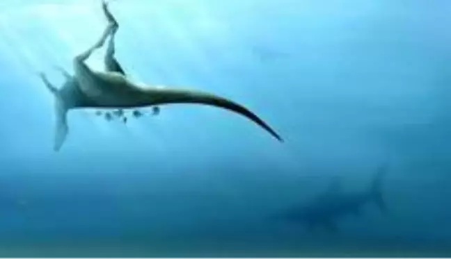 İngiltere'de T-Rex'in kuzeni yeni bir dinozor türü keşfedildi