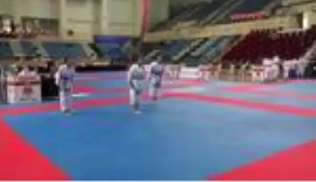 Karate Federasyonu Başkanı Delihasan: 