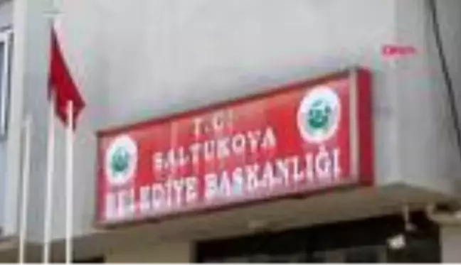 BARTIN Belediye yol kenarına bıraktığı köpekleri aldı