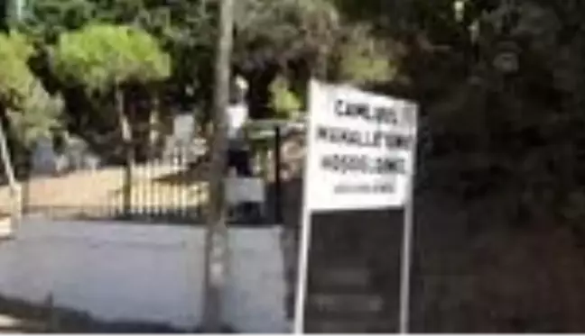 Tuncel Kurtiz vefatının 7'nci yılında mezarı başında anıldı