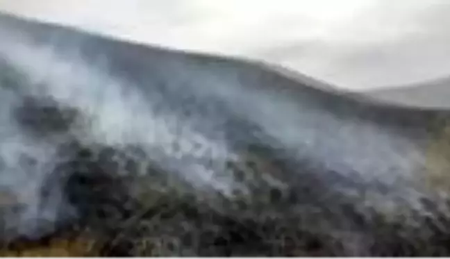 Son dakika haber... Çoban ateşi örtü yangınına neden oldu