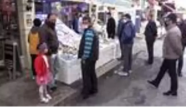 Ordu'da kilogram fiyatı 10 liraya düşen hamsiye yoğun ilgi