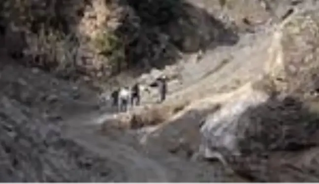 Odun toplamak için gittiği ormanda kaybolan kişinin cesedine ulaşıldı