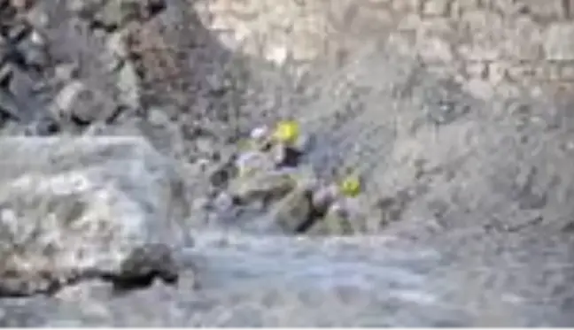 Yıkılan metruk binada kafatası ve kemik parçaları bulundu