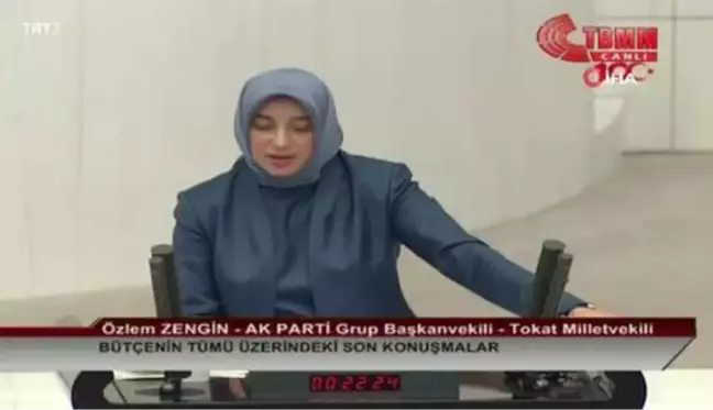 AK Parti Grup Başkanvekili Özlem Zengin: 