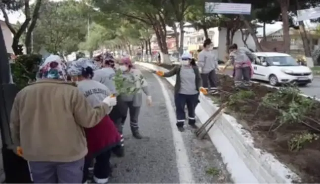 Söke'deki Güllübahçe'de gül dikimi yapıldı