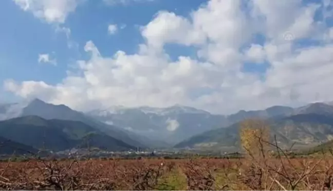 Hatay'ın yüksek kesimlerine mevsimin ilk karı yağdı