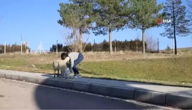 Üniversite öğrencilerinden, 