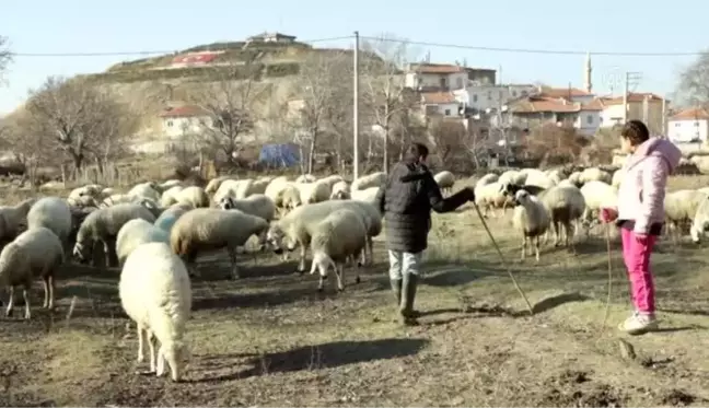 Son dakika haberleri... 