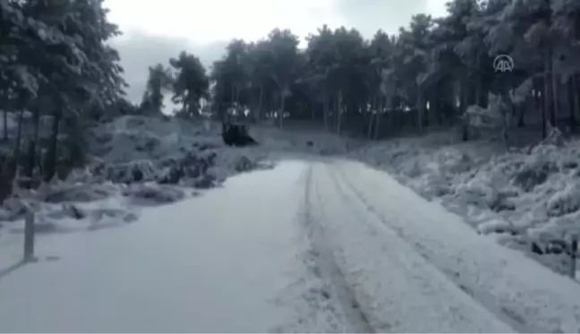 BALIKESİR - Doğada aç kalan sokak hayvanları unutulmadı