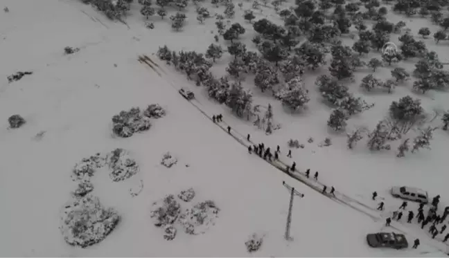 BALIKESİR - Yaban hayvanları için doğaya 900 kilogram yem bırakıldı