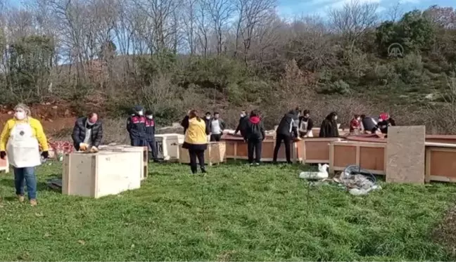 Silivri ve Çatalca'da sokak hayvanları için kulübeler kuruldu