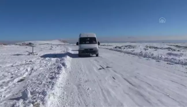 Muradiye'de sokak hayvanlarına yem bırakıldı