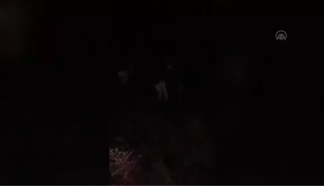 Son dakika haberleri... ESKİŞEHİR - Arazide unutulmuş donmak üzere 3 kuzu ile kanadı kırık şahini jandarma kurtardı