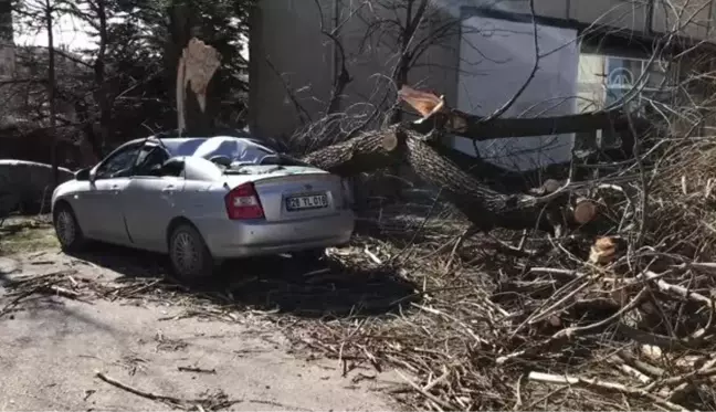 ESKİŞEHİR - Şiddetli rüzgarda park halindeki otomobilin üzerine ağaç devrildi