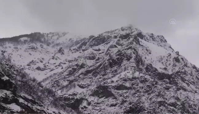 Karadeniz'i Güneydoğu'ya bağlayan kara yolunun çığ tünelleri sürücülere 