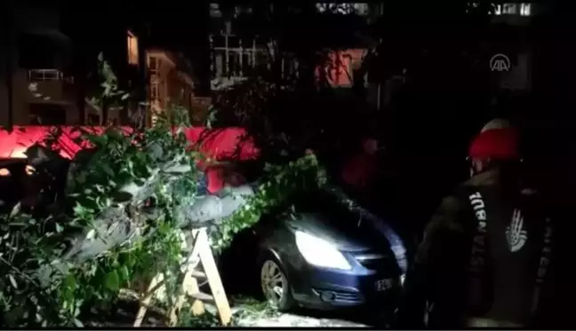 Kuvvetli fırtına etkili oluyor (5)