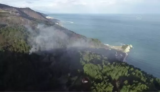 KASTAMONU - (DRONE) Ormanlık alan ve mahallede etkili olan yangın kontrol altına alındı