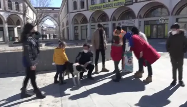 Gürpınar'da sokak hayvanlarına yem bırakıldı