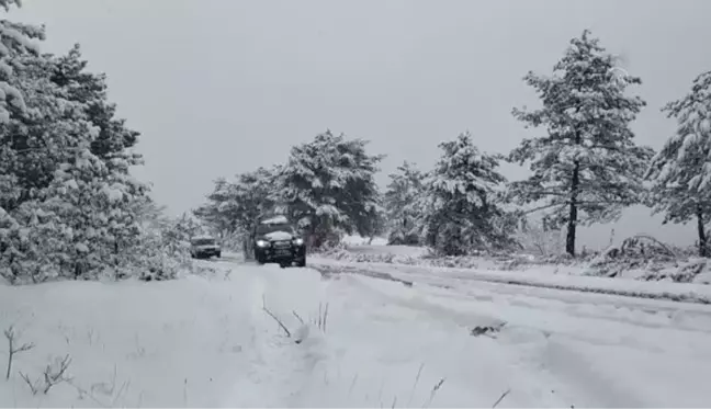 KASTAMONU - Avcılar yaban hayvanları için doğaya yiyecek bıraktı