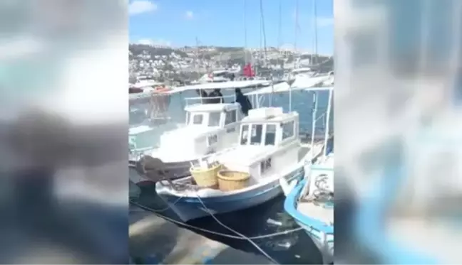 Bodrum'da balıkçı teknesinde çıkan yangın hasara yol açtı