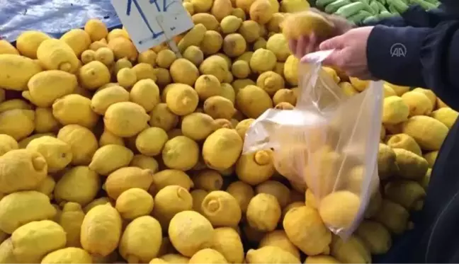 Türkiye'den ocak ayında 31,4 milyon dolarlık limon ihraç edildi