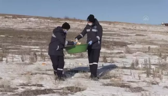 Son dakika haberi: Belediye ekipleri sokak ve yaban hayvanları için doğaya yiyecek bıraktı