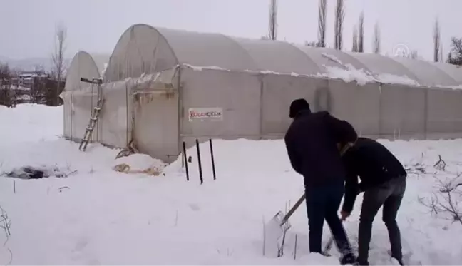 Konyalı çiftçi, arkadaşlarının olumsuz görüşlerine rağmen sera kurdu