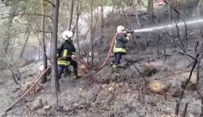 Fethiye'de çıkan orman yangını söndürüldü