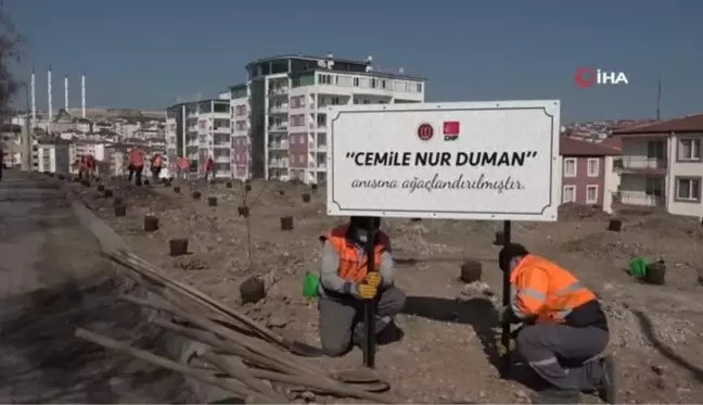 Son dakika haber | Bilecik'te yürek yakan görüntü...2 yaşındaki Hızır Efe, babasının öldürdüğü annesi adına dikilen ağaca toprak attı