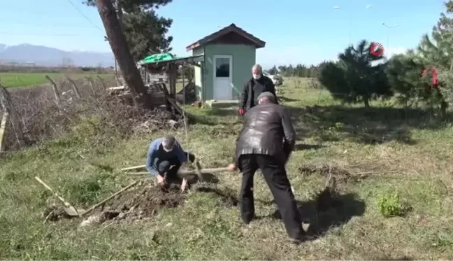 2005'ten bu yana şehitler için fidan dikiyorlar