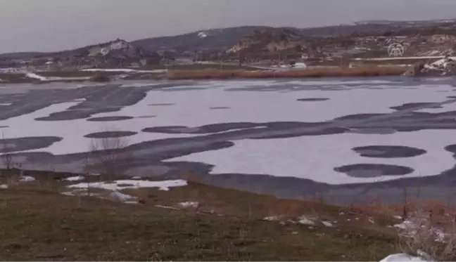 AFYONKARAHİSAR - Frig Vadisi ender bulunan hayvanlara ev sahipliği yapıyor