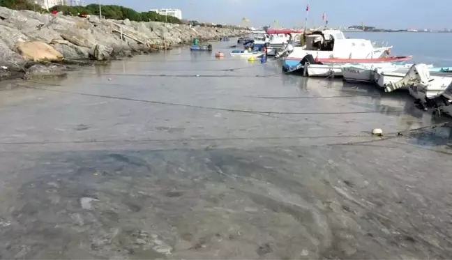 Pendik'te korkutan görüntünün gerçek nedeni belli oldu