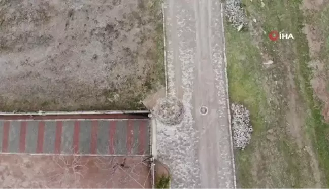 Bekir amcayı 15 yıllık komşusu leylekler bu yıl da yalnız bırakmadı