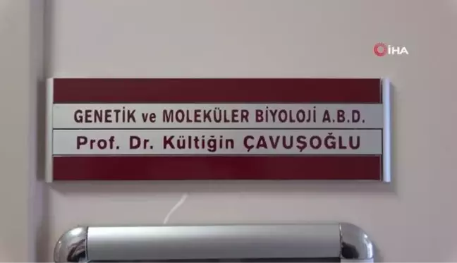 Karadeniz bölgesindeki korona virüs vaka sayılarındaki artış devam ediyor