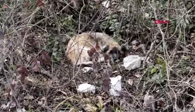 Son Dakika | SAMSUN Havai fişek fabrikasındaki patlamaya ilişkin duruşmada üçüncü oturum başladı