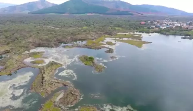 Hatay'daki volkanik Haydarlar Gölü göçmen kuşlara ev sahipliği yapıyor