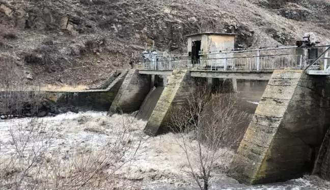 Son dakika genel: Kars Çayı taştı, ağaçlar sular altında kaldı