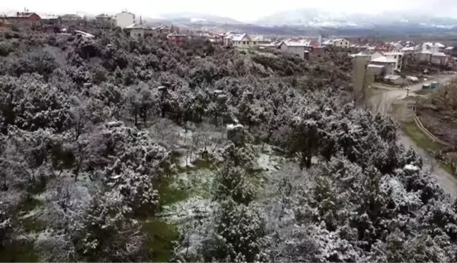 Beyşehir'de leyleklerin yuvaları kar örtüsü altında kaldı