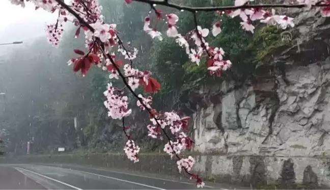 Kar dolayısıyla 76 köy yolu ulaşıma kapandı