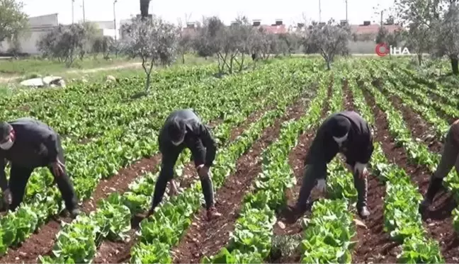 Sınır kentinde korona tedbirleri arttırılıyor