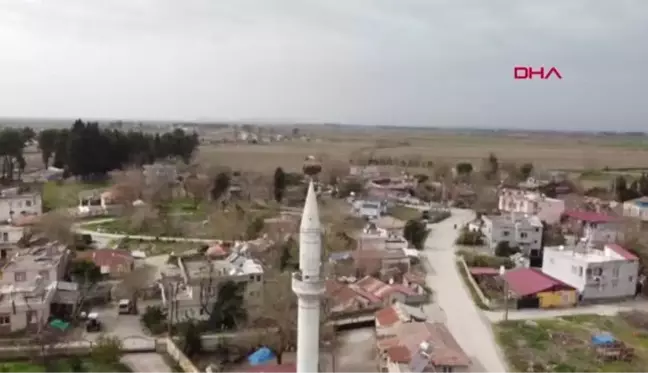 OSMANİYE 35 yıldır cami minaresine yuva kuran leylekler köyün simgesi oldu