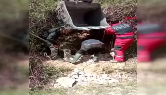 MUĞLA KUYUYA DÜŞEN İNEK KEPÇE YARDIMI İLE KURTARILDI