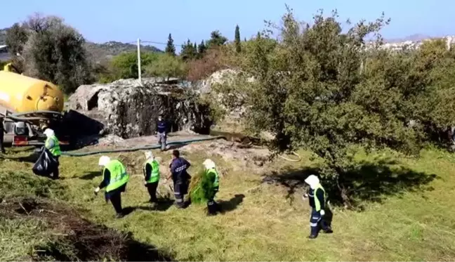 Son dakika... Bodrum'da Roma dönemine ait kaya mezarlarının turizme kazandırma çalışmaları