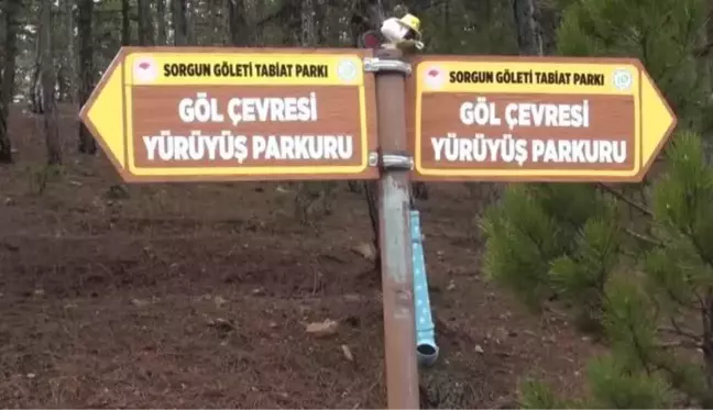 Güdül'de Sorkun Mahallesi ziyaretçilerine doyumsuz doğa manzaraları vadediyor