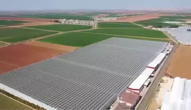 ŞANLIURFA -Harran Ovası'nda jeotermal seraların devamlılığı suyun kaynağına enjeksiyonuyla sağlanacak