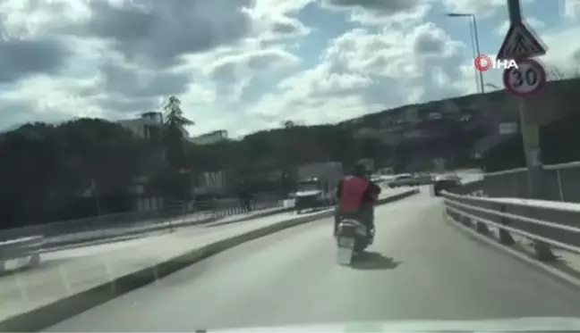 İstanbul'un göbeğinde şaşkına çeviren olay.. Aç kalan Şahin kent merkezine indi