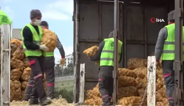 TMO tarafından çiftçiden satın alınan ürünler İstanbul'da dağıtılmaya başlandı