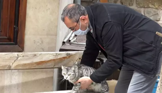 Caminin maskotu oldu şimdi sıcak yuva arıyorlar